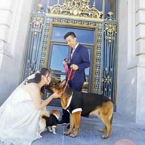 Meet your Posher, Kai